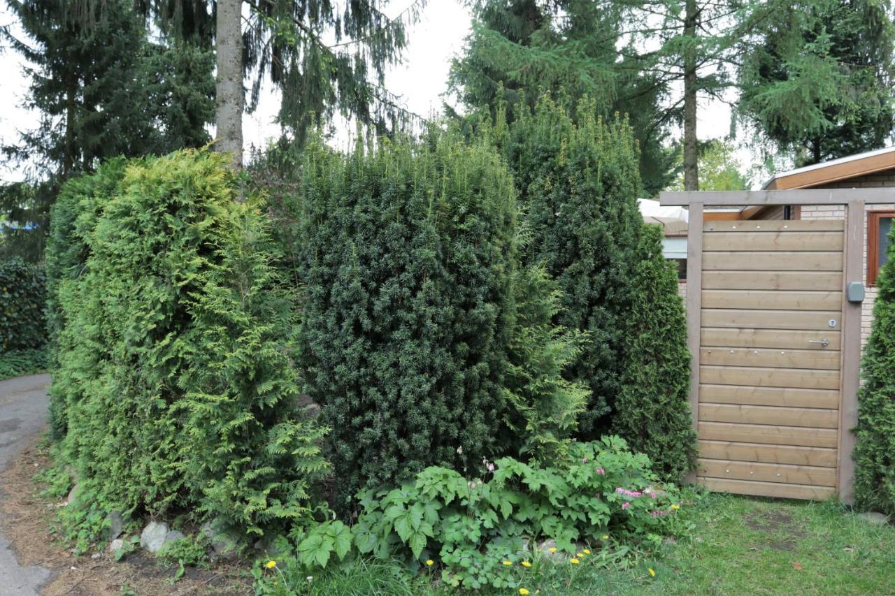 Veluwehuisje Speulderbos Vila Putten Exterior foto